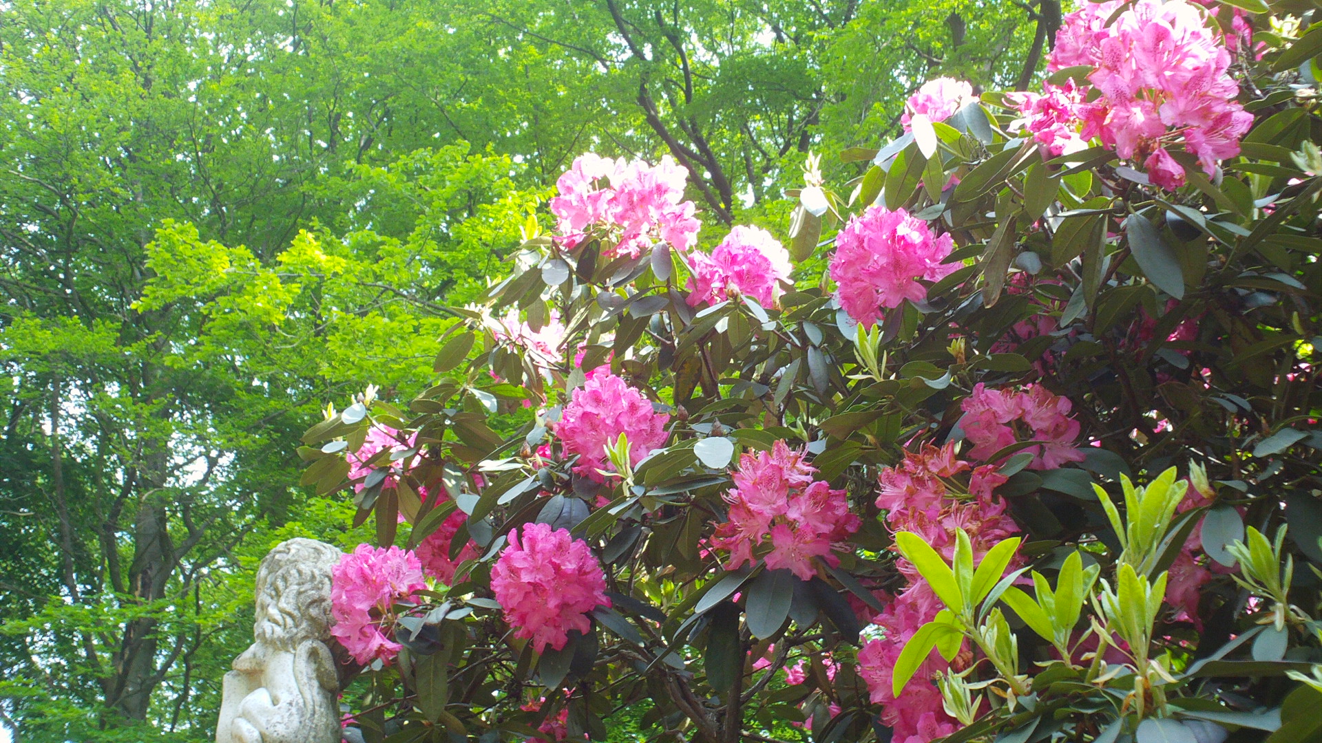 2012 HWK 070.jpg